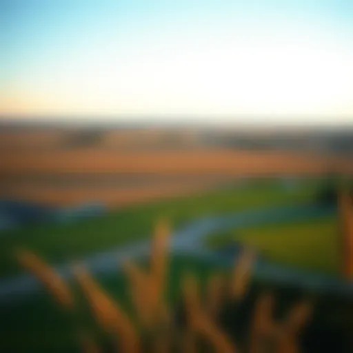 North Dakota Landscape