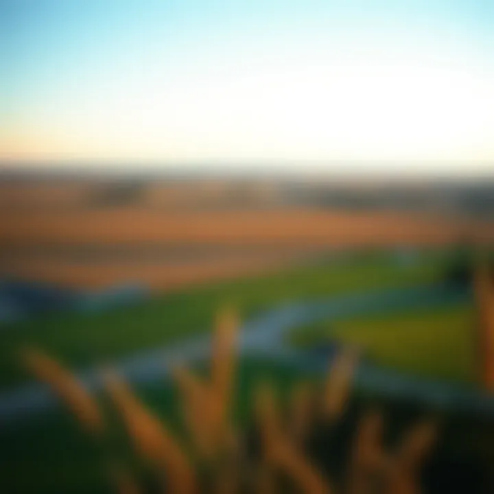 North Dakota Landscape